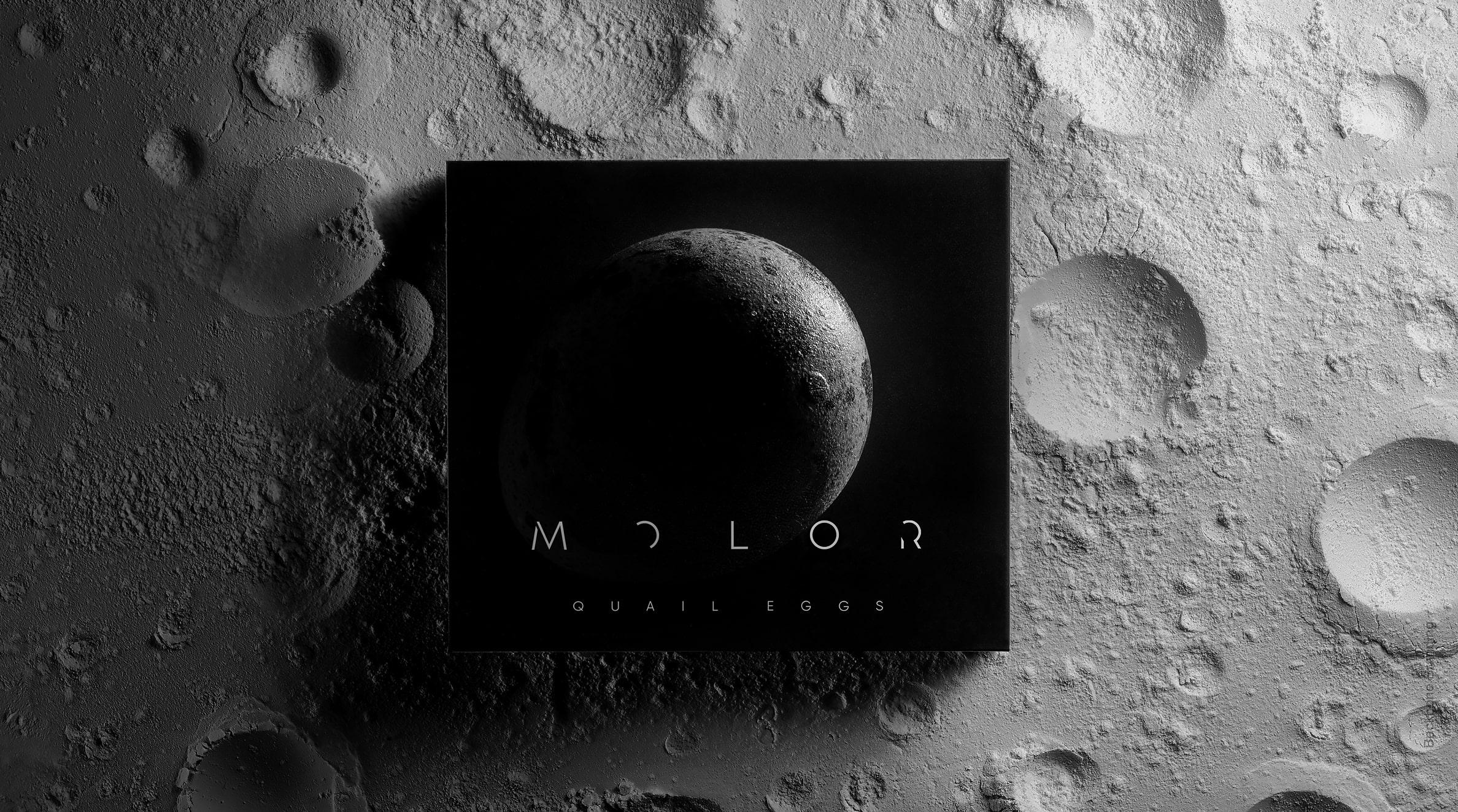 Molor_1_full_width