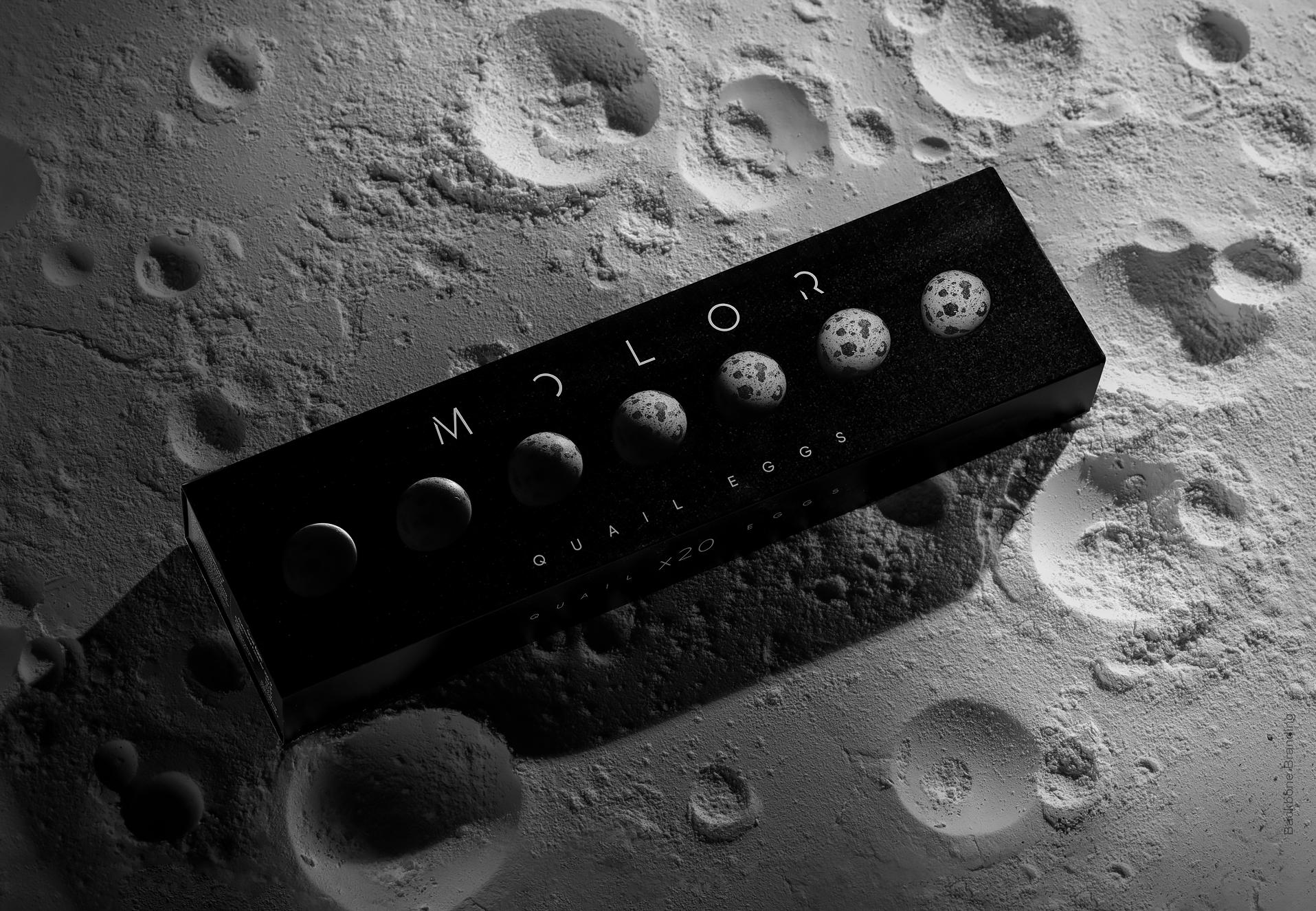 Molor_4_1_slide-min