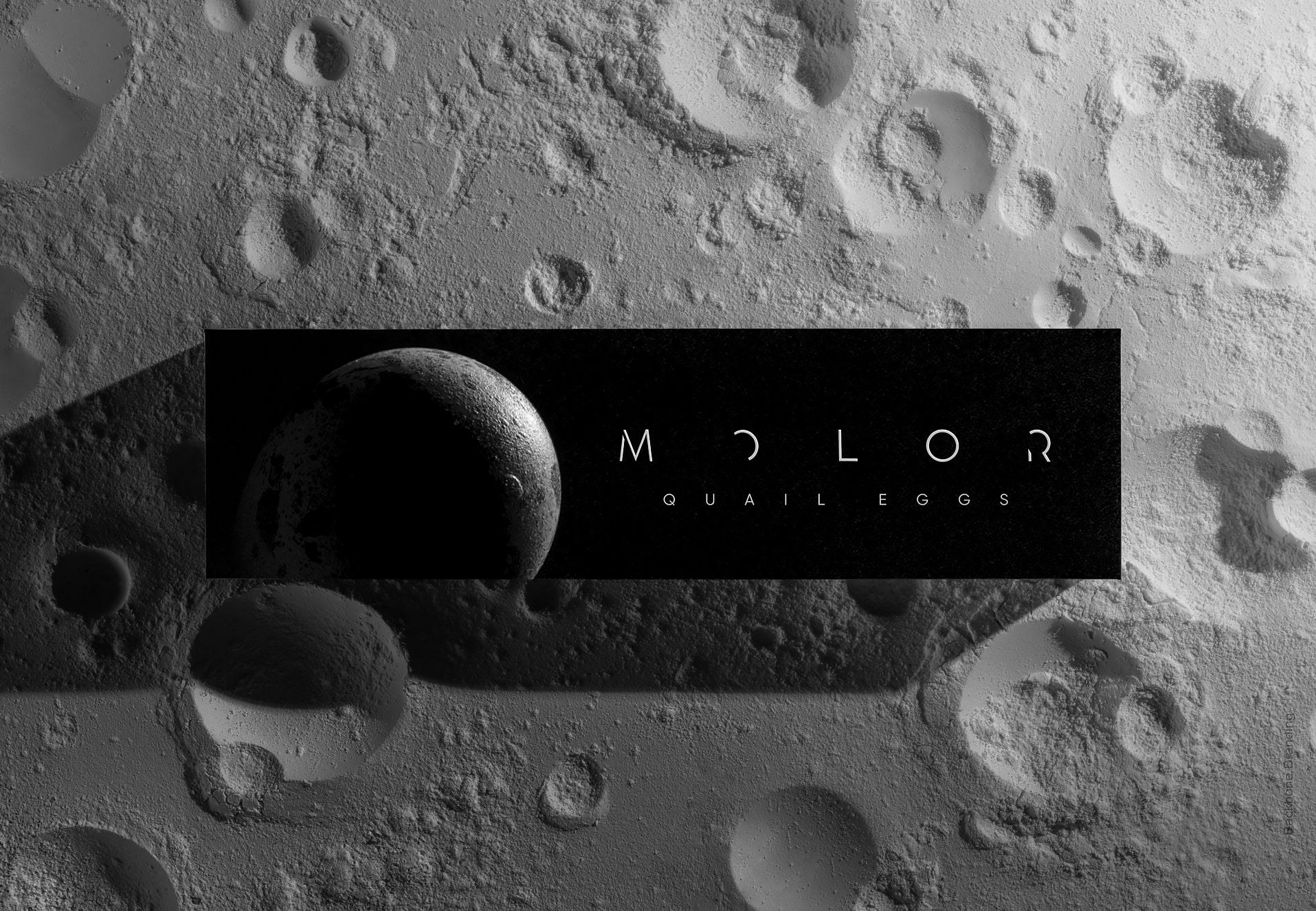 Molor_4_2_slide