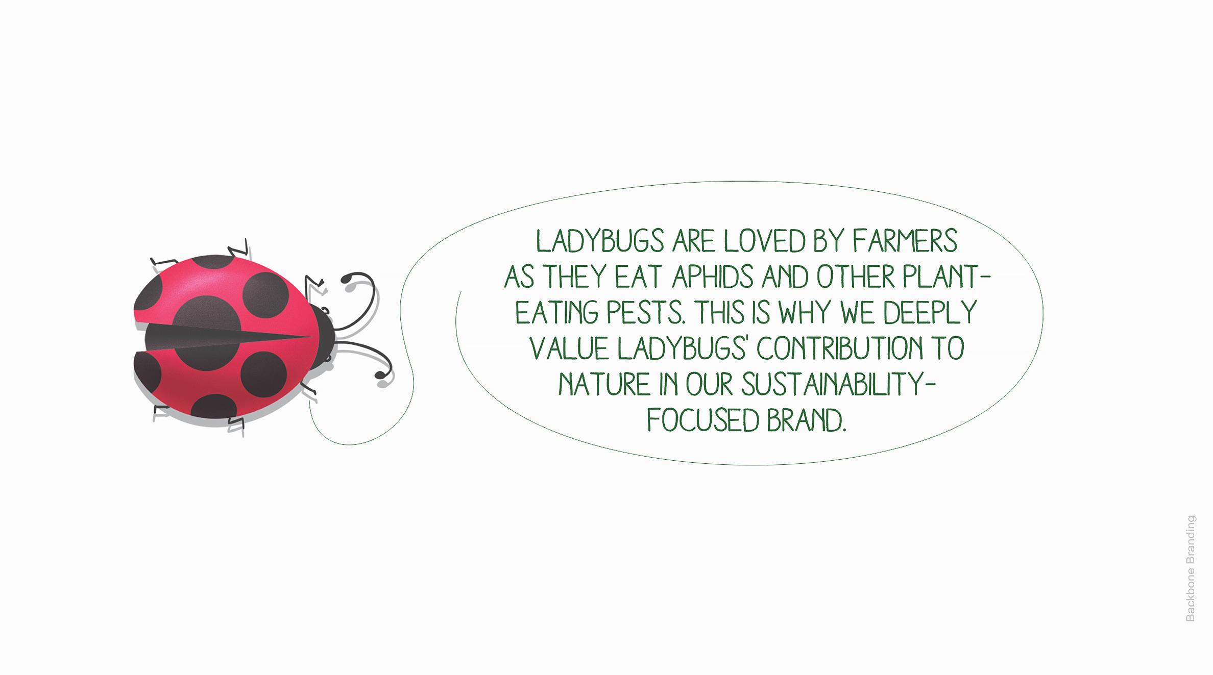 Vantastic_ladybug